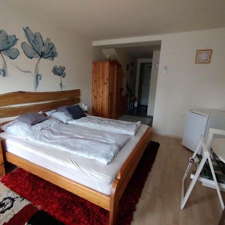Liliana Vendeghaz Appartement Balatonfůzfő Kamer foto
