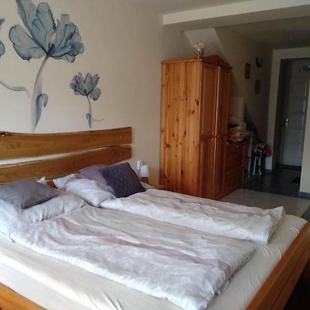 Liliana Vendeghaz Appartement Balatonfůzfő Kamer foto
