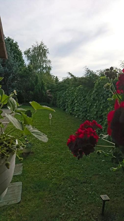 Liliana Vendeghaz Appartement Balatonfůzfő Buitenkant foto
